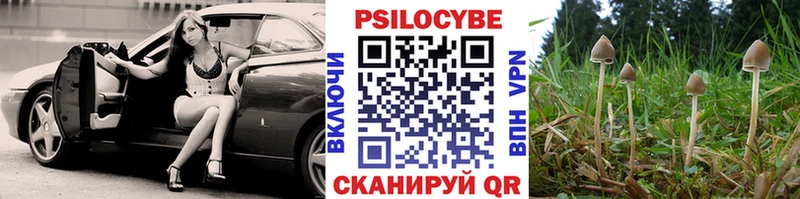 Галлюциногенные грибы Cubensis  дарк нет состав  Бобров 